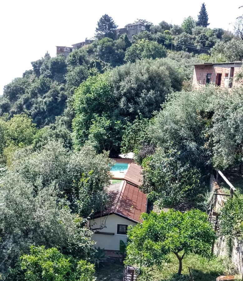 Flat With Panoramic Terrace And Private Pool Mt5X3 Apartment Taormina Luaran gambar